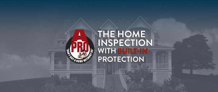 Home inspection san felipe tx