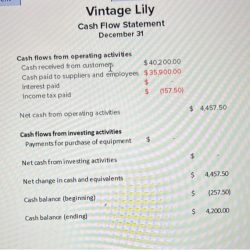 Accounting and financial ratios expanding the vintage lily