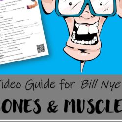 Bill nye the science guy bones and muscles worksheet answers