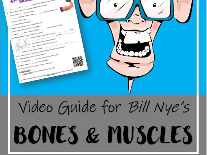 Bill nye the science guy bones and muscles worksheet answers